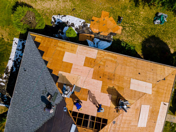 Best Roof Replacement Cost  in Burton, SC